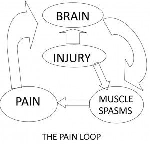 pain loop